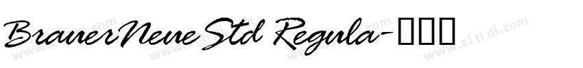 BrauerNeueStd Regula字体转换